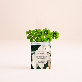 TREFLES A PLANTER OFFRE FDM 26