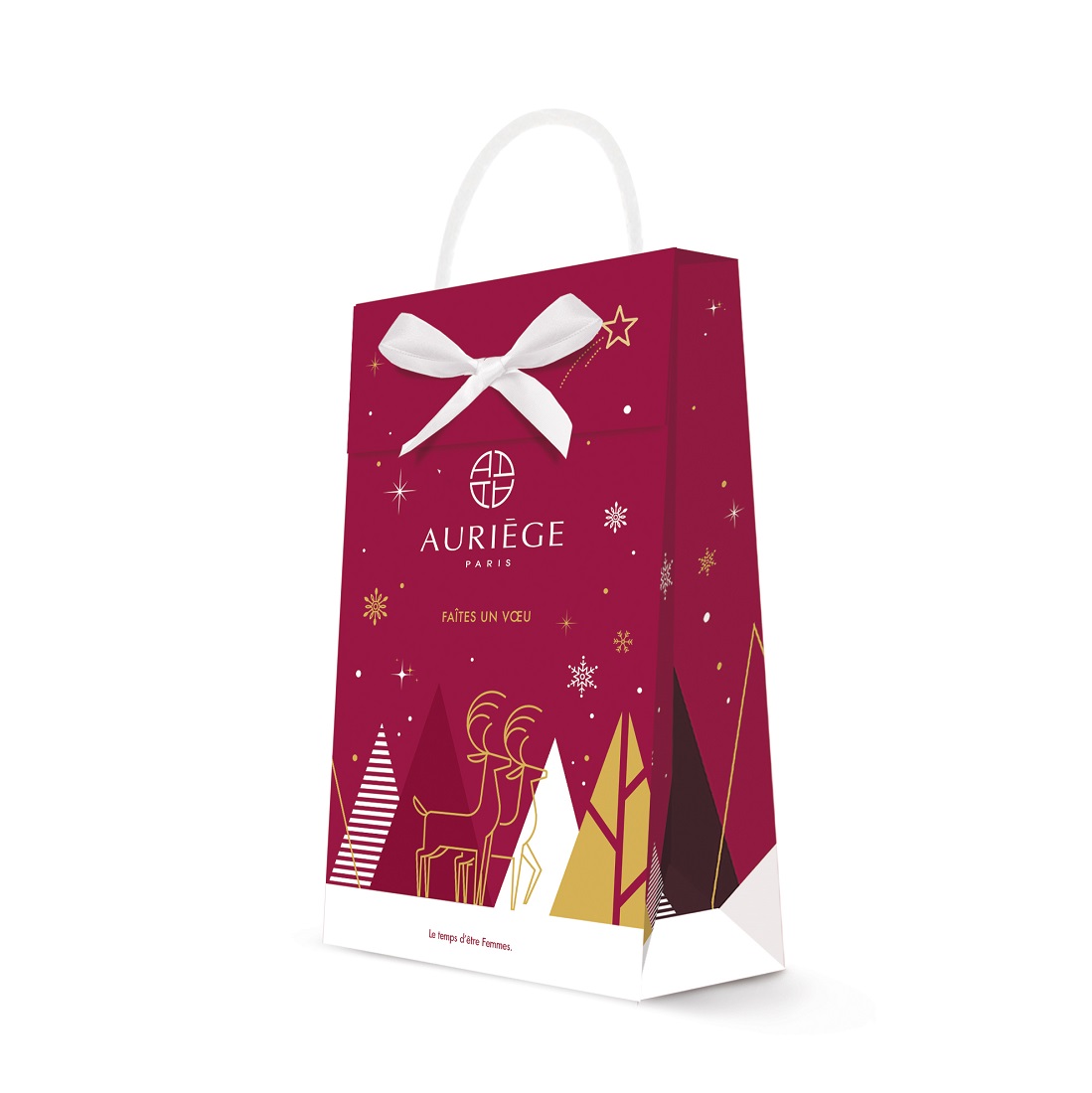 SAC CADEAU NOEUD SATIN image number null