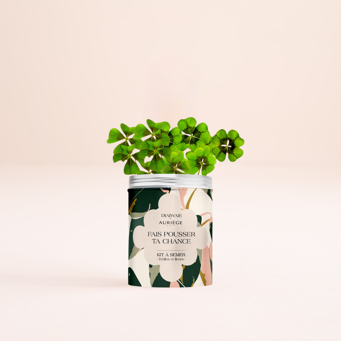 TREFLES A PLANTER OFFRE FDM 26 image number null